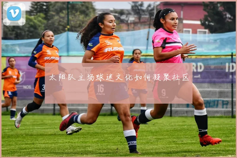 太阳队主场球迷文化如何凝聚社区