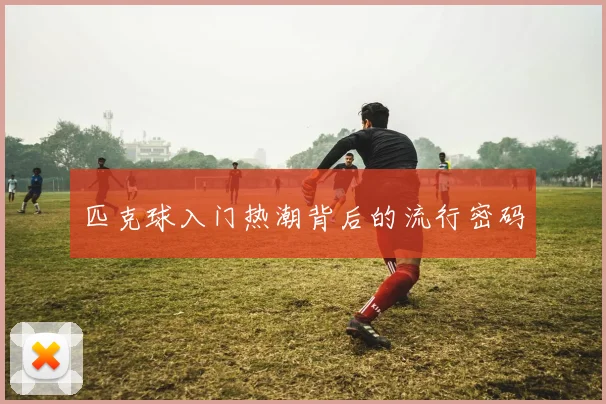匹克球入门热潮背后的流行密码