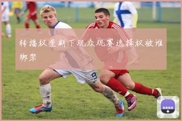 转播权垄断下观众观赛选择权被谁绑架