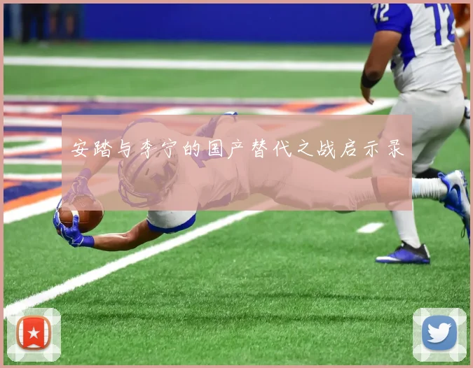安踏与李宁的国产替代之战启示录