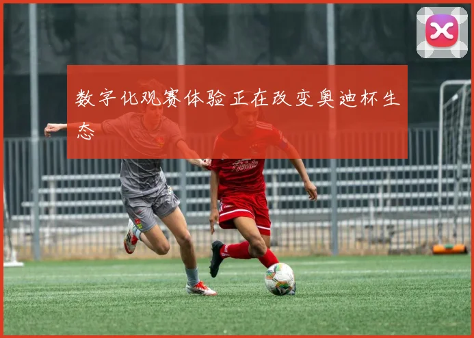 数字化观赛体验正在改变奥迪杯生态