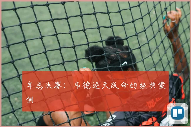年总决赛：韦德逆天改命的经典案例