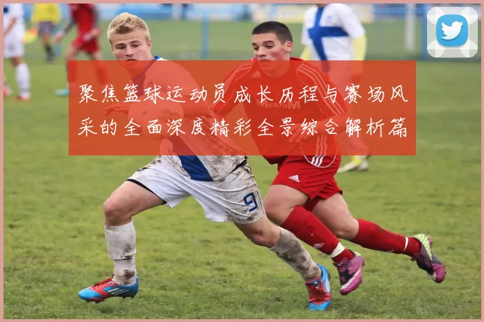 聚焦篮球运动员成长历程与赛场风采的全面深度精彩全景综合解析篇