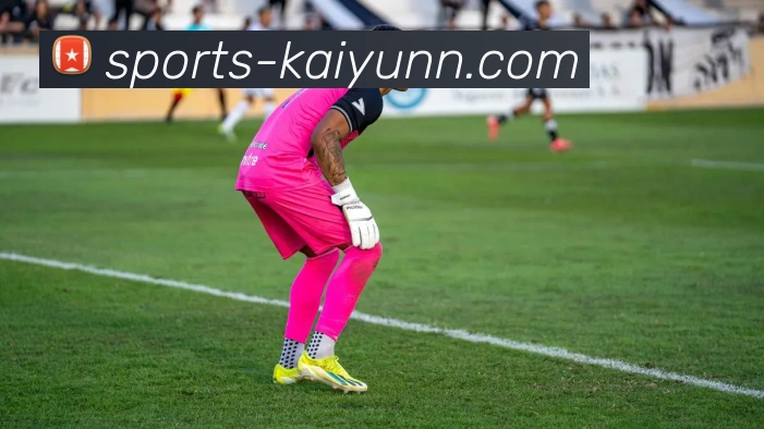 开云平台生态图